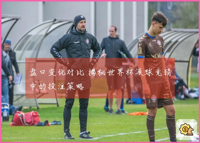 盘口变化对比 揭秘世界杯滚球竞猜中的投注策略