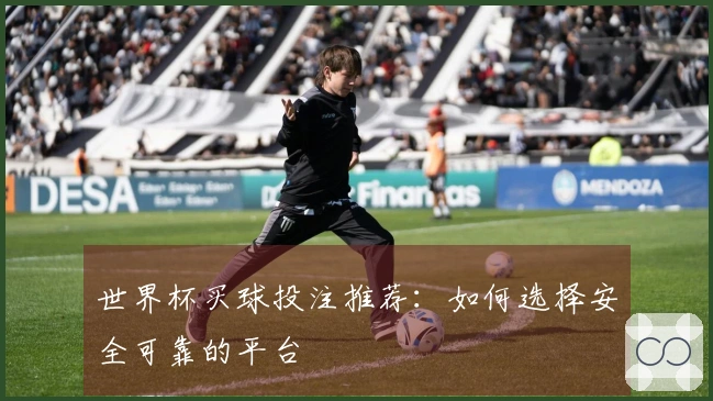 世界杯买球投注推荐：如何选择安全可靠的平台