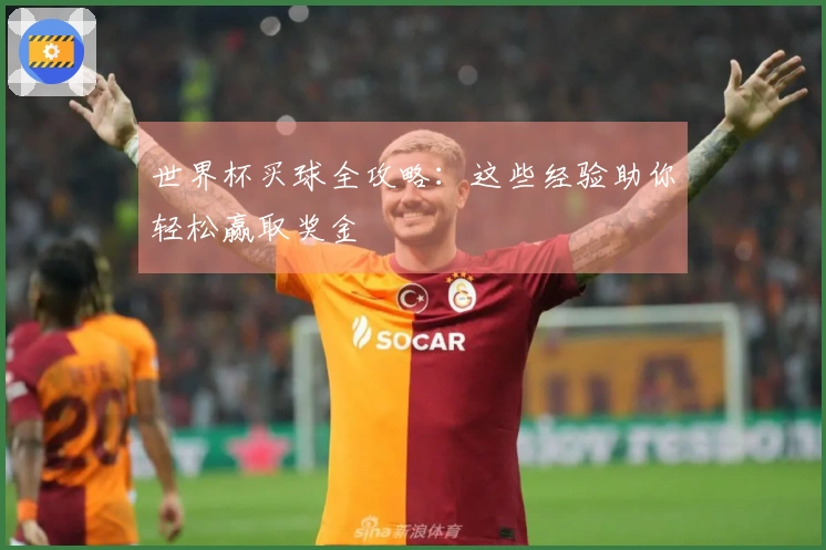 世界杯买球全攻略：这些经验助你轻松赢取奖金