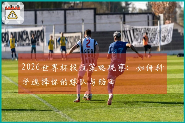 2026世界杯投注策略观察：如何科学选择你的球队与赔率