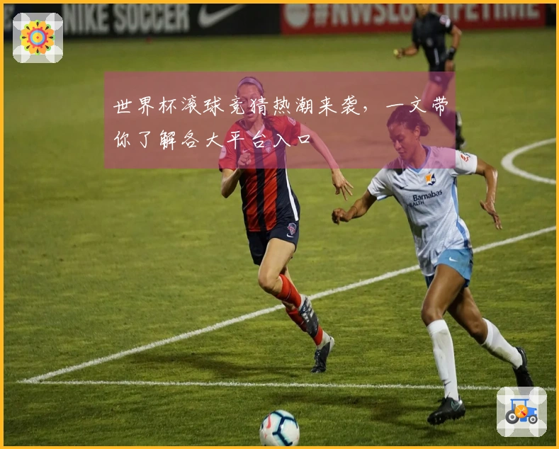 世界杯滚球竞猜热潮来袭，一文带你了解各大平台入口