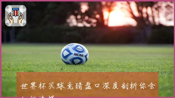 世界杯买球竞猜盘口深度剖析你会如何选择