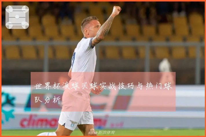 世界杯滚球买球实战技巧与热门球队分析