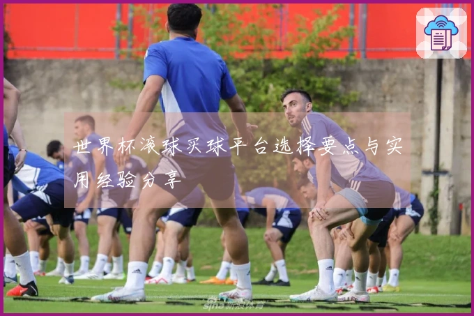 世界杯滚球买球平台选择要点与实用经验分享