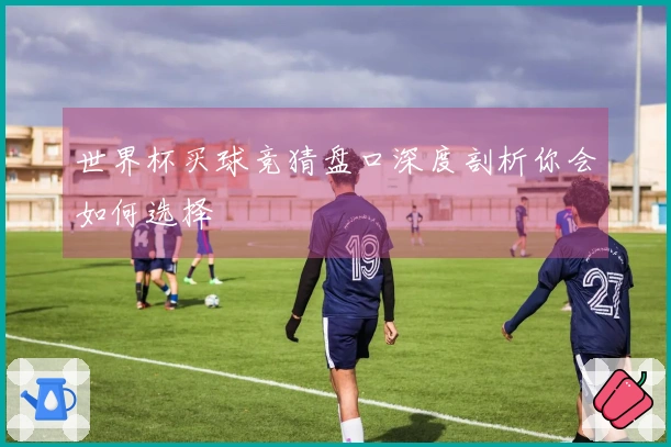 世界杯买球竞猜盘口深度剖析你会如何选择