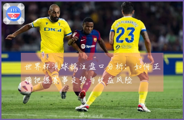 世界杯滚球投注盘口分析：如何正确把握赛事走势与收益风险