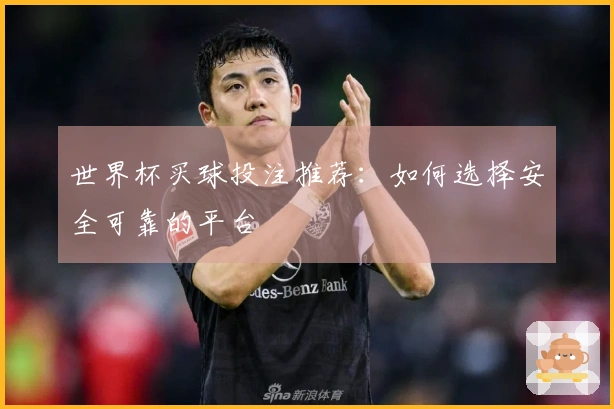 世界杯买球投注推荐：如何选择安全可靠的平台