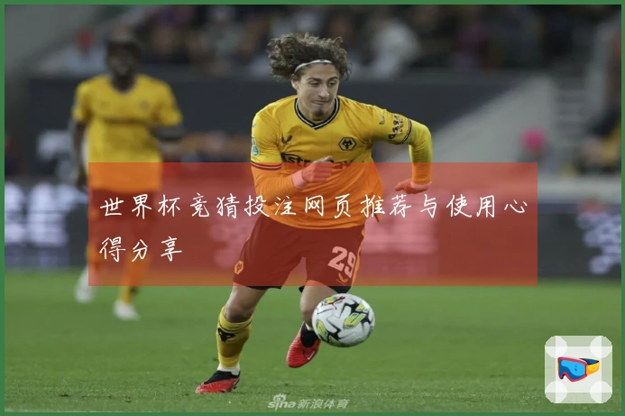世界杯竞猜投注网页推荐与使用心得分享